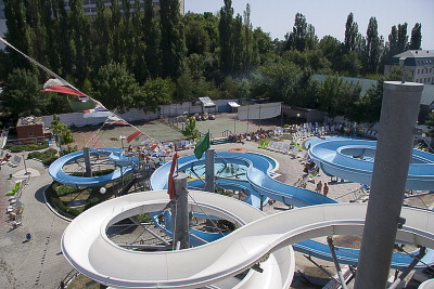 IMG13323_crw.jpg