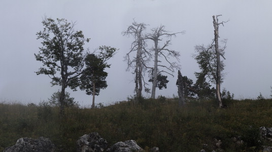 fototur_-__day_8_-_lago-naki_fog_pano.jpg