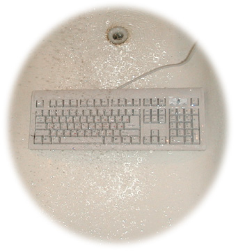 keyboard_shower_sm.jpg (38701 bytes)