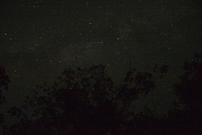 IMG10186_crw.jpg